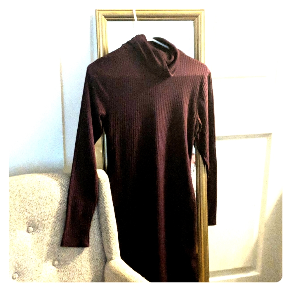 Adorable turtle neck dress